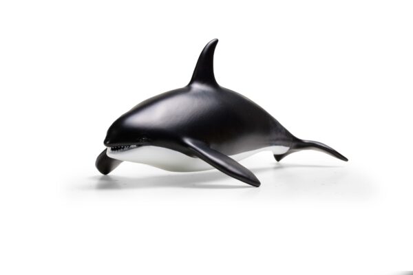 Stretchy animals - orca